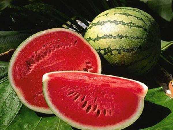 Đi đường nhìn thấy dưa hấu đánh con gì có ý nghĩa gì