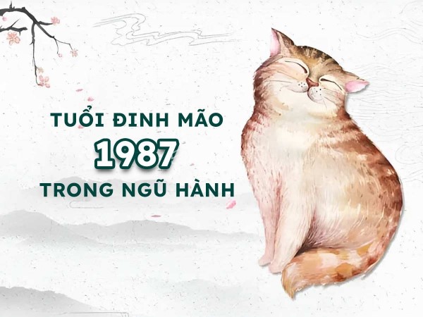 Con số may mắn tuổi Đinh Mão ngày 03/11/2025 thứ 2 hôm nay