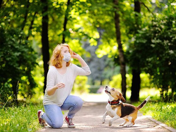 Nằm mơ thấy nuôi chó có điềm gì, số mấy may mắn?