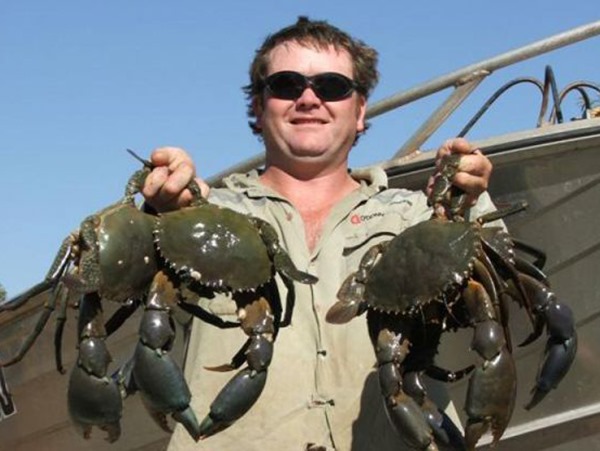 Nằm mơ thấy bắt cua là điềm gì, tham khảo con gì số gì?