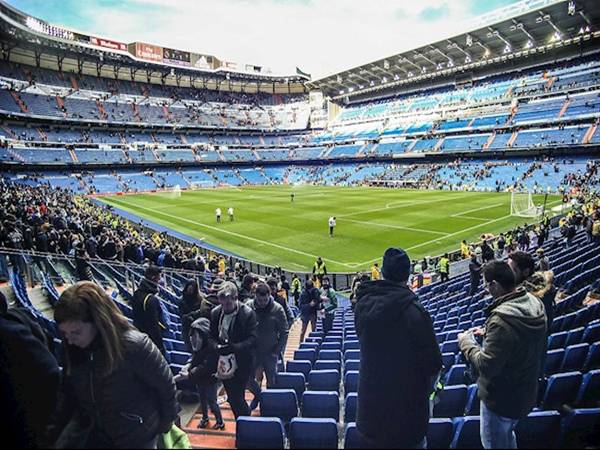 Vai trò của svđ Bernabeu